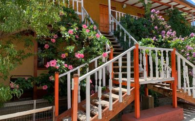 Venta de camping en el corazón del valle del Elqui