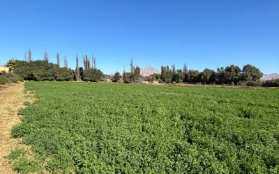Amplio terreno en Copiapó